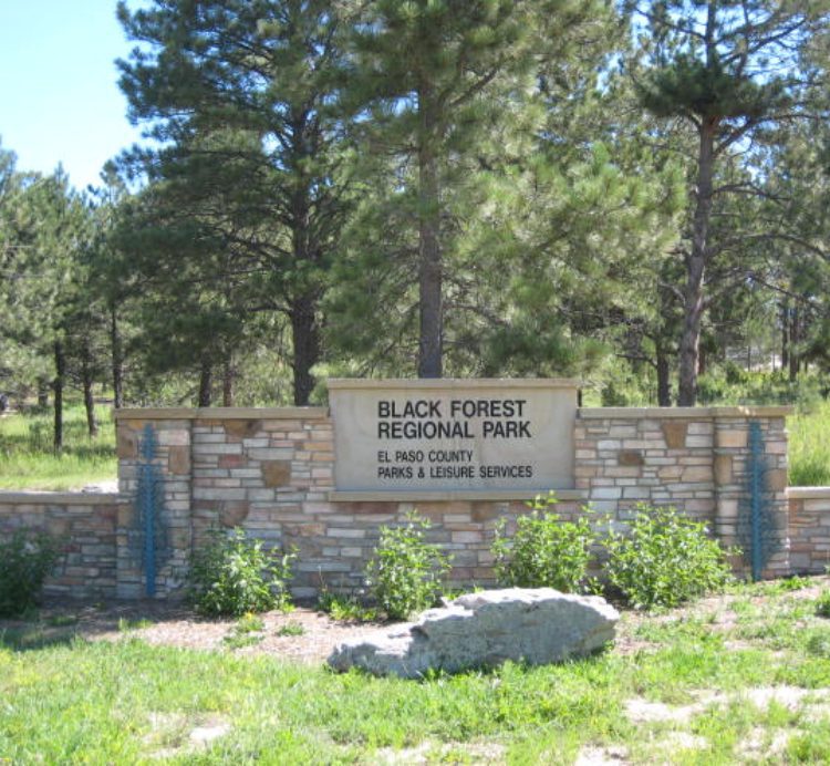Entrance sign for Black Forest Regional Park surrounded by trees.