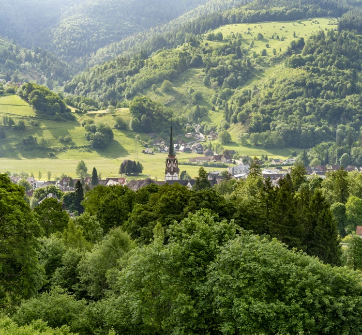 Village nestled in lush green hills