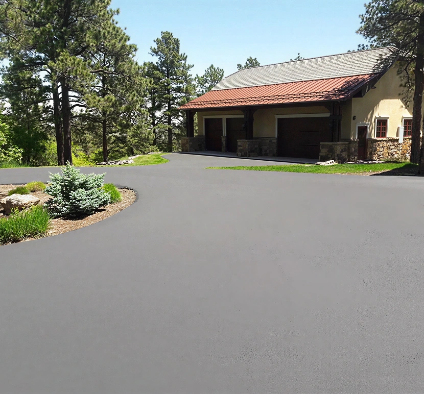 Driveway leading to a house in forest