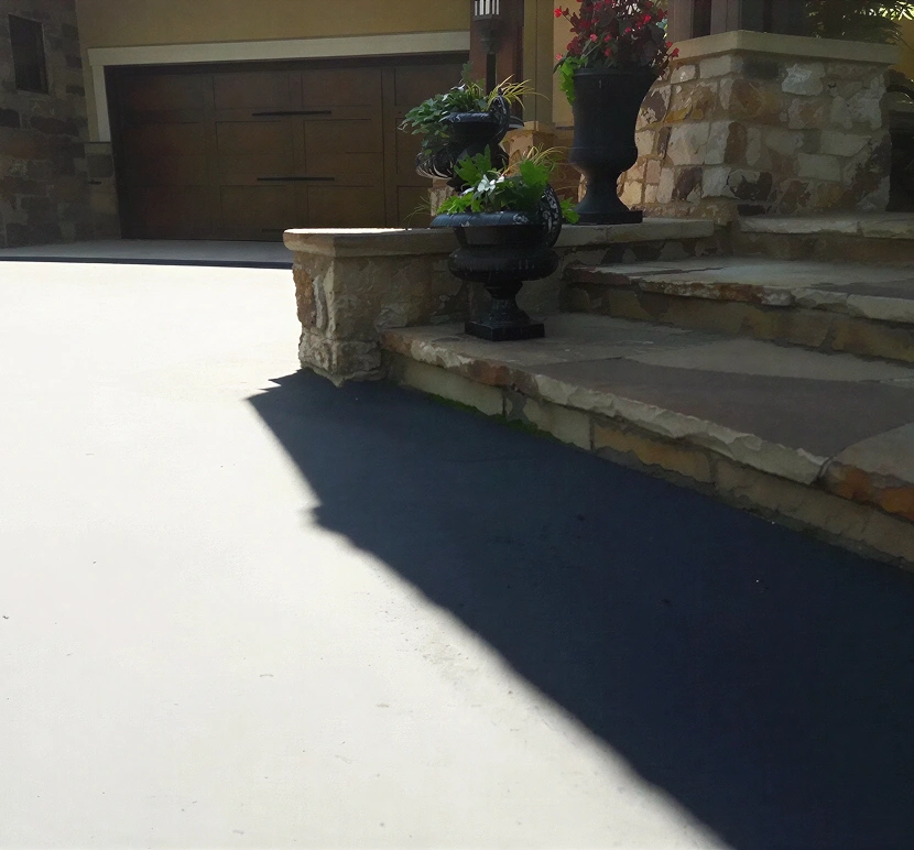 Stone steps with potted plants